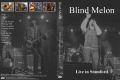 BlindMelon_2008-06-26_StamfordCT_DVD_1cover.jpg