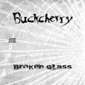 Buckcherry_2009-02-17_SaintCharlesMO_CD_2disc.jpg