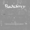 Buckcherry_2010-07-28_MinneapolisMN_CD_2disc.jpg