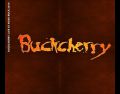 Buckcherry_2014-06-13_NickelsdorfAustria_CD_3inlay.jpg