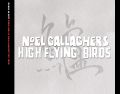 NoelGallaghersHighFlyingBirds_2012-05-23_TokyoJapan_CD_4inlay.jpg