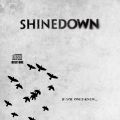 Shinedown_2009-03-03_AshevilleNC_CD_2disc1.jpg