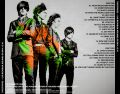 TheStrypes_2014-12-10_DublinIreland_CD_5back.jpg