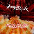 AngelusApatrida_2008-xx-xx_BootlegUnleashed_DVD_2disc.jpg
