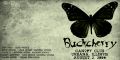 Buckcherry_2006-08-02_UrbanaIL_CD_1booklet.jpg