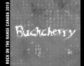 Buckcherry_2010-08-07_WinnipegCanada_CD_3inlay.jpg