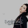 Evanescence_xxxx-xx-xx_TVCompilationVol1_DVD_2disc.jpg