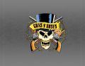 GunsNRoses_1988-08-31_PittsburghPA_CD_3inlay.jpg