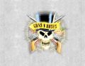 GunsNRoses_xxxx-xx-xx_AppetiteForOuttakes_CD_5inlay.jpg