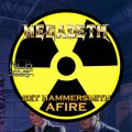Megadeth_1991-03-25_LondonEngland_DVD_2disc.jpg