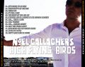 NoelGallaghersHighFlyingBirds_2012-06-26_DublinIreland_CD_4back.jpg
