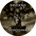 Shinedown_2006-12-12_KnoxvilleTN_CD_2disc1.jpg