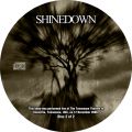 Shinedown_2006-12-12_KnoxvilleTN_CD_3disc2.jpg