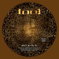 Tool_2006-05-13_ChicagoIL_CD_3disc2.jpg