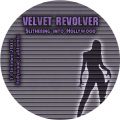 VelvetRevolver_2004-10-13_LosAngelesCA_DVD_2disc.jpg