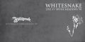 Whitesnake_1990-05-11_IrvineCA_CD_1booklet.jpg